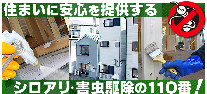 HOME/�V���A���쏜�E�΍� �Q���쏜 ���� ��p ���R ����